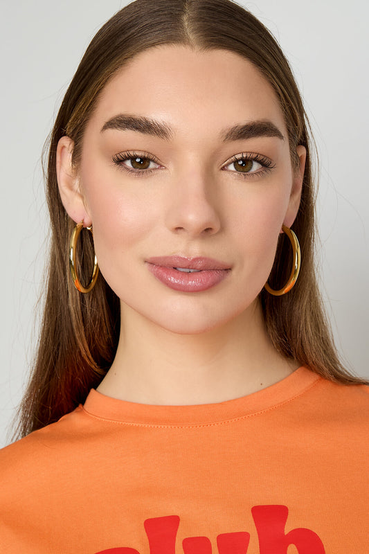 Stainless Steel Hoop Earrings circle Casual Daily Simple Series Women's jewelry