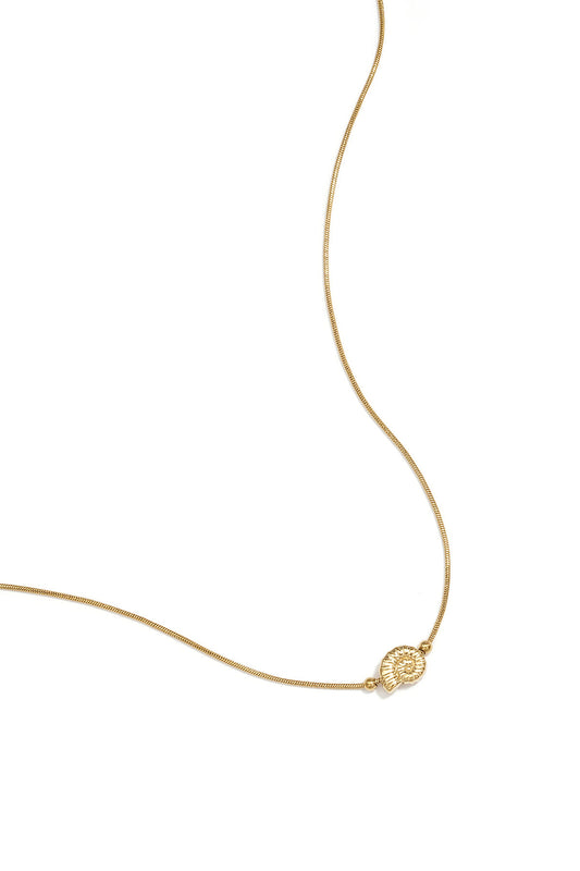 Minimalist necklace with small spiral shell