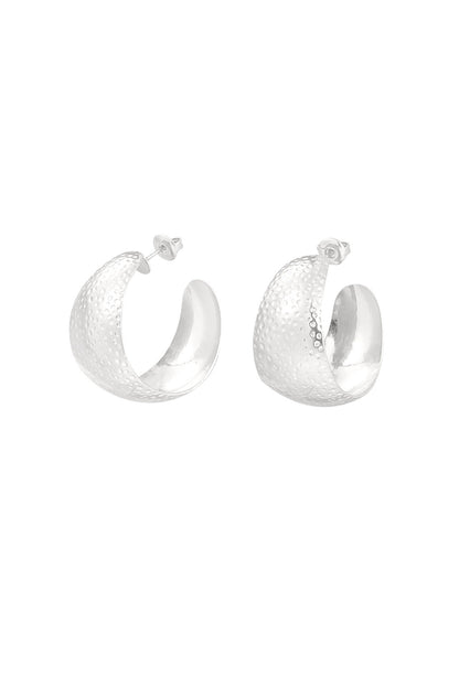 Stylish Stainless Steel Hoop Earrings - Silver & Gold