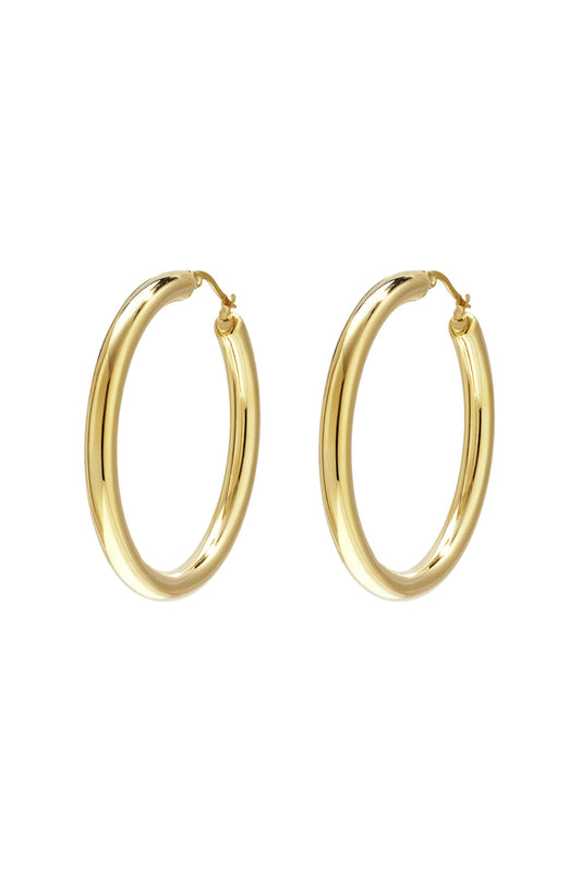 Stainless Steel Hoop Earrings circle Casual Daily Simple Series Women's jewelry