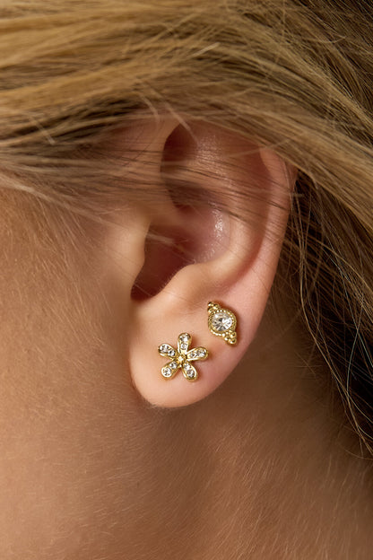 Stainless Steel Stud Earrings irregular shape Casual Daily Simple Series Women's jewelry