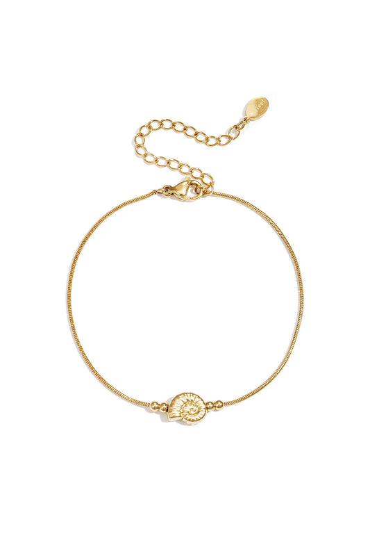 Minimalist bracelet with spiral shell